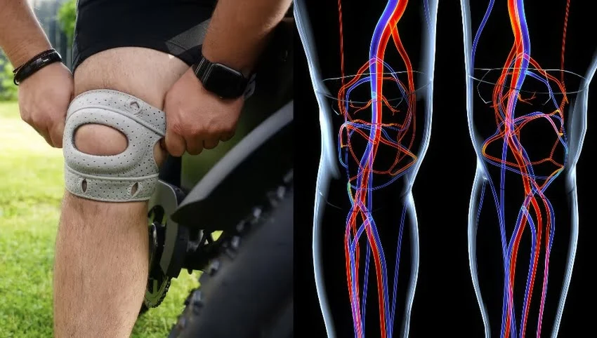Knee sleeve demonstration